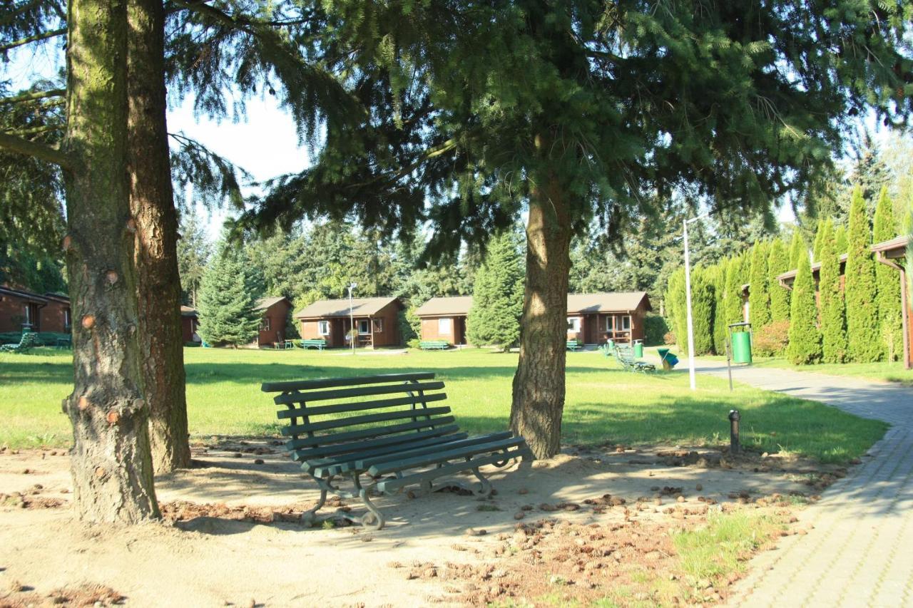 Ab Domki Caloroczne Nad Jeziorem Stęszew Buitenkant foto